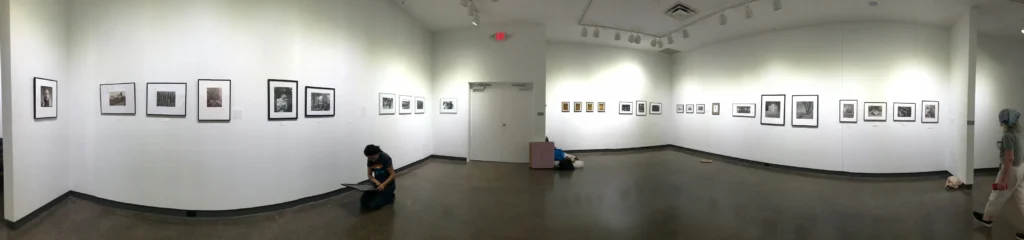 Photo of art gallery installation