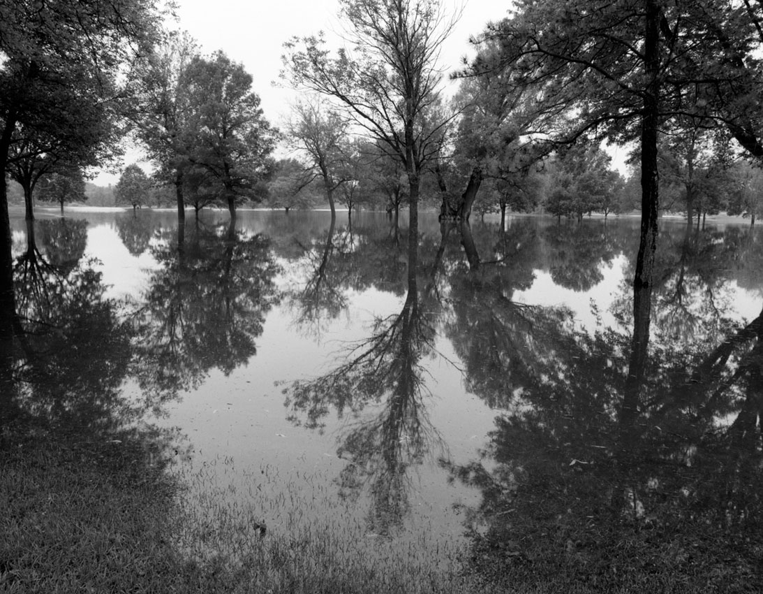 Meadowbrook Bayou